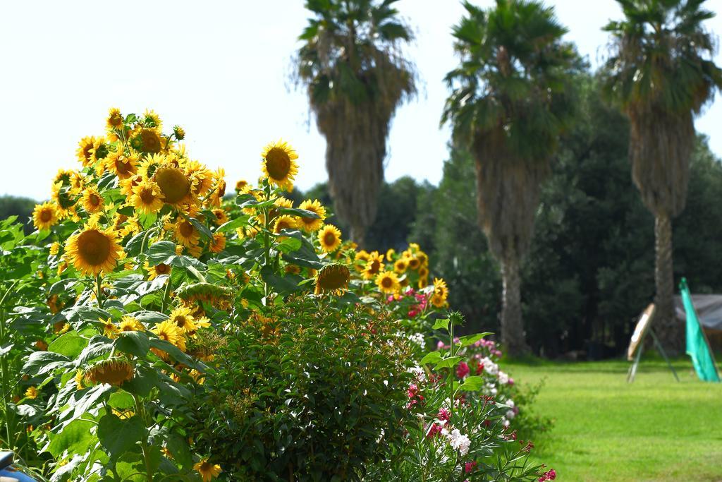 Resort Sciabache Zambrone Dış mekan fotoğraf